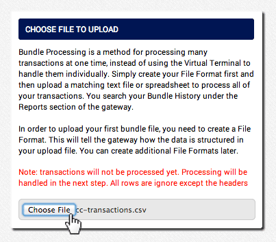choose a template file to upload